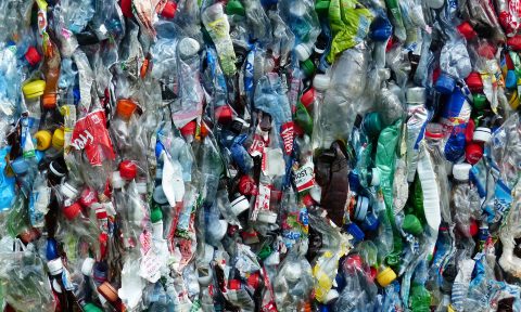 Plastikflaschen beim Recycling