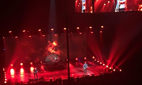 Fall Out Boy - beim Konzert