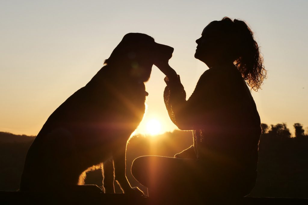 Sonnenuntergang mit Mensch und Hund